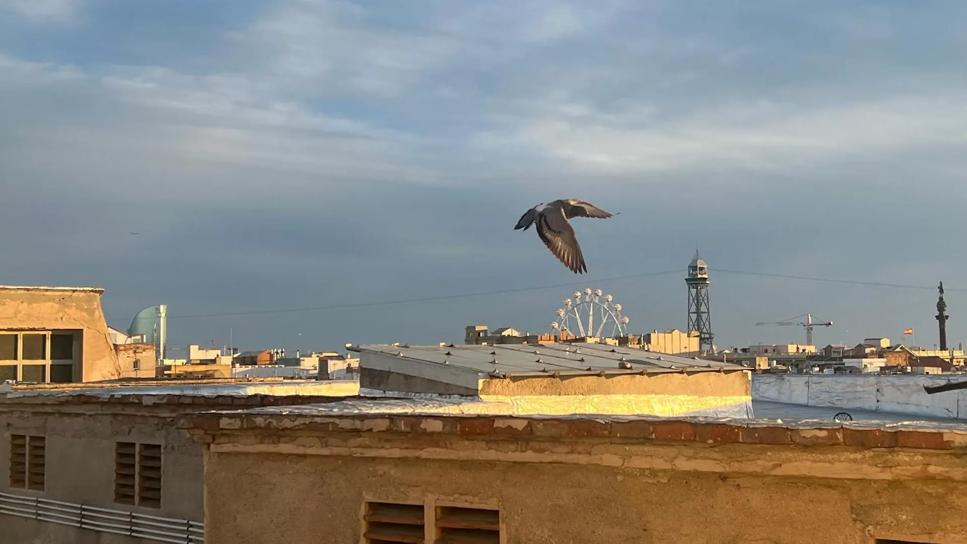 Penthouse With Private Terrace Daire Barselona İspanya